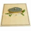 ghep-hinh-bo-xuong-con-rua-turtle-skeleton-puzzle - ảnh nhỏ  1