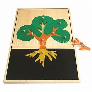 Ghép hình thân cây – Tree puzzle