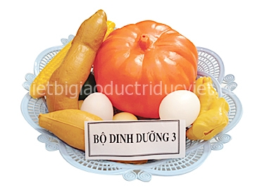 Bộ dinh dưỡng 3 MN 342042